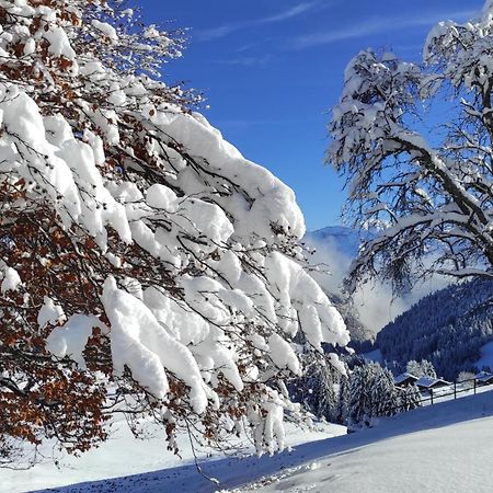 L'Echappee Belle En Montagne - Site Location-Chalet Mieussy 外观 照片