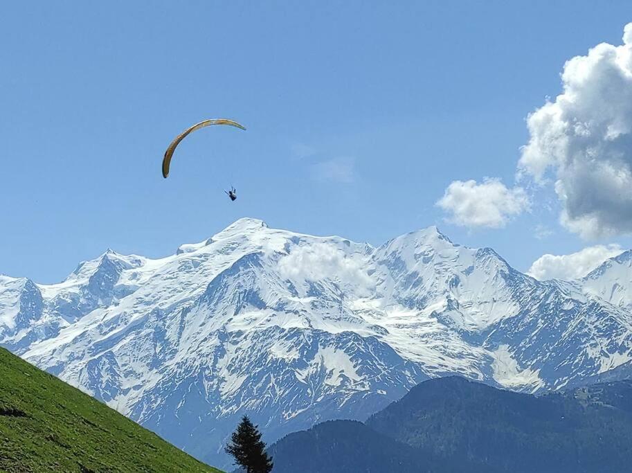 L'Echappee Belle En Montagne - Site Location-Chalet Mieussy 外观 照片