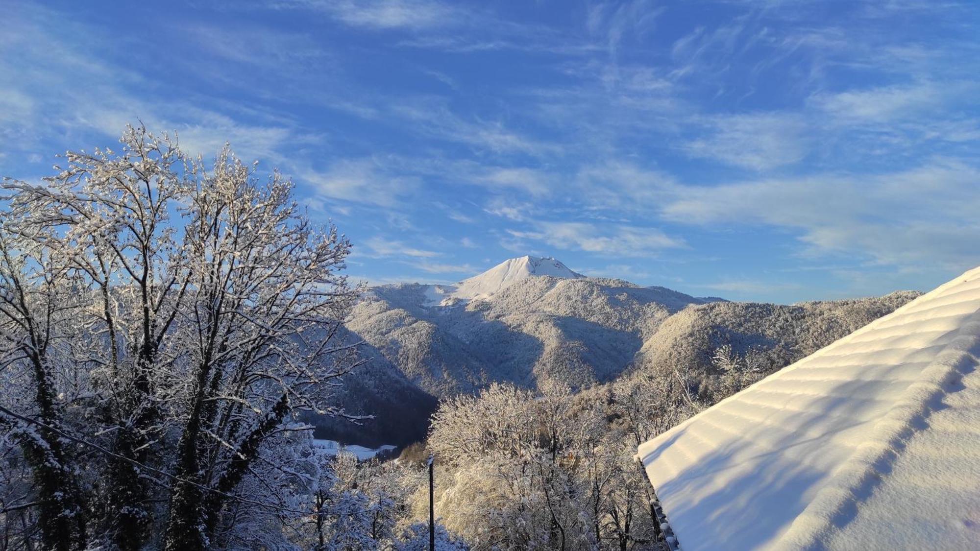 L'Echappee Belle En Montagne - Site Location-Chalet Mieussy 外观 照片