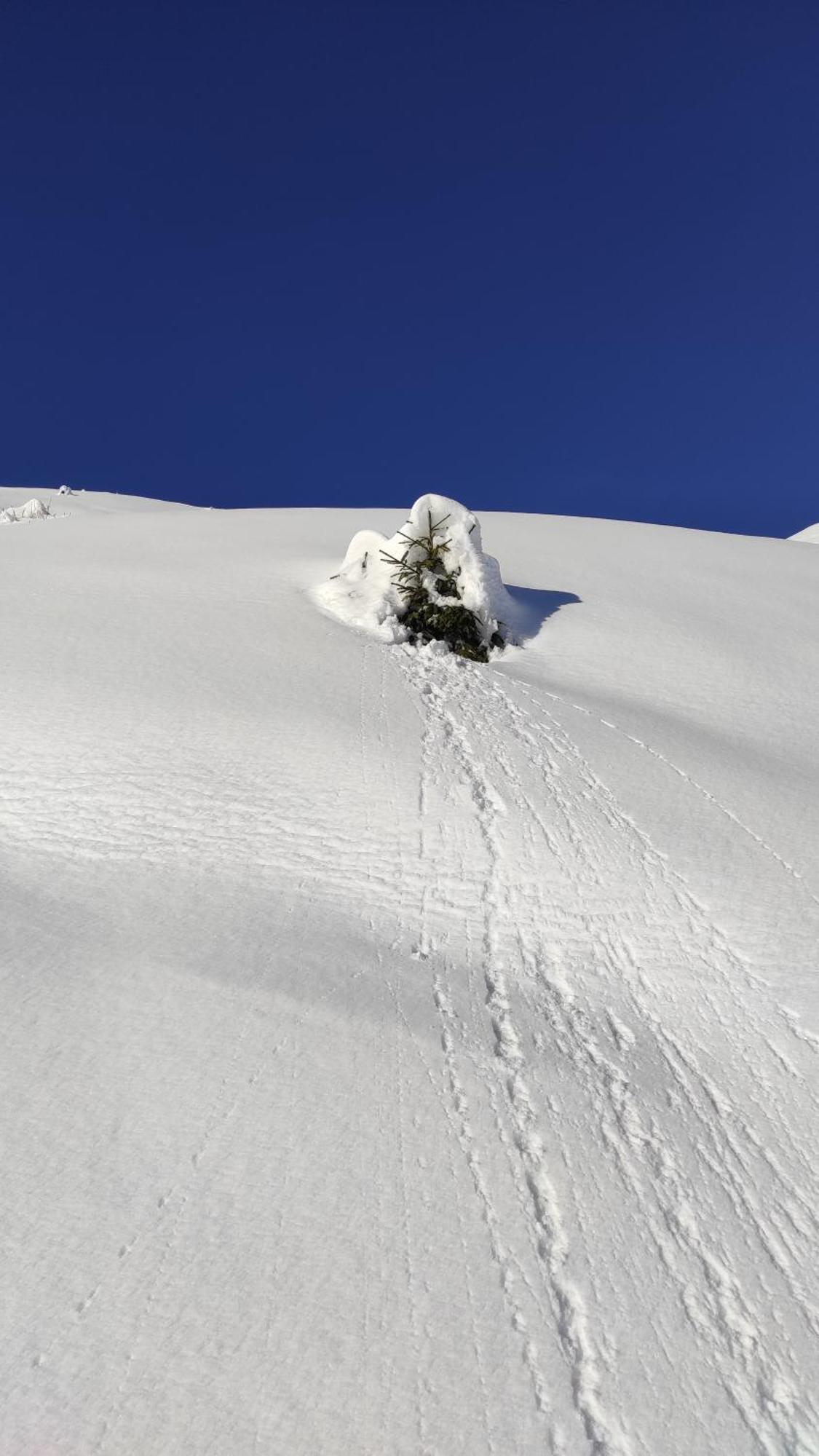 L'Echappee Belle En Montagne - Site Location-Chalet Mieussy 外观 照片