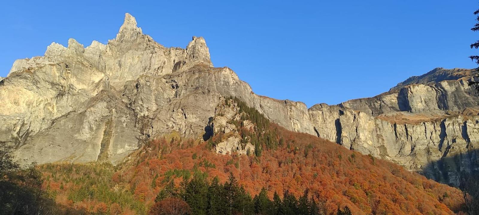 L'Echappee Belle En Montagne - Site Location-Chalet Mieussy 外观 照片